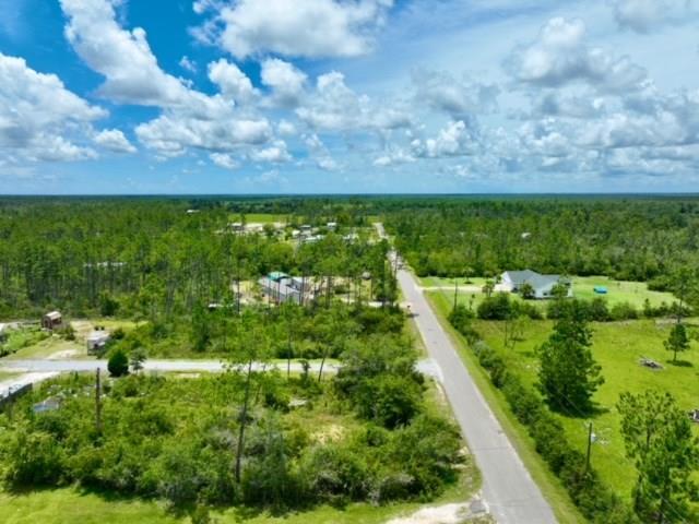 Lot B Borders Road Wewahitchka, FL 32465 - Photo 2 of 11