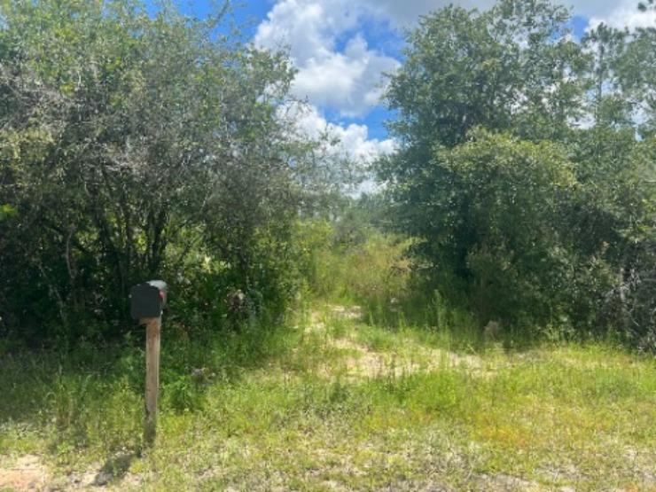 Lot B Borders Road Wewahitchka, FL 32465 - Photo 3 of 11