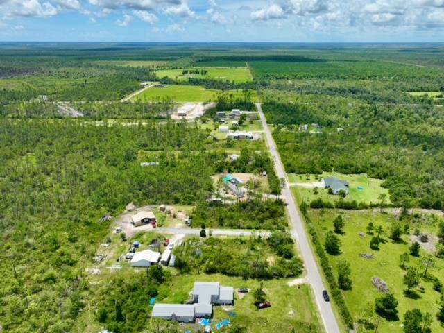 Lot B Borders Road Wewahitchka, FL 32465 - Photo 4 of 11
