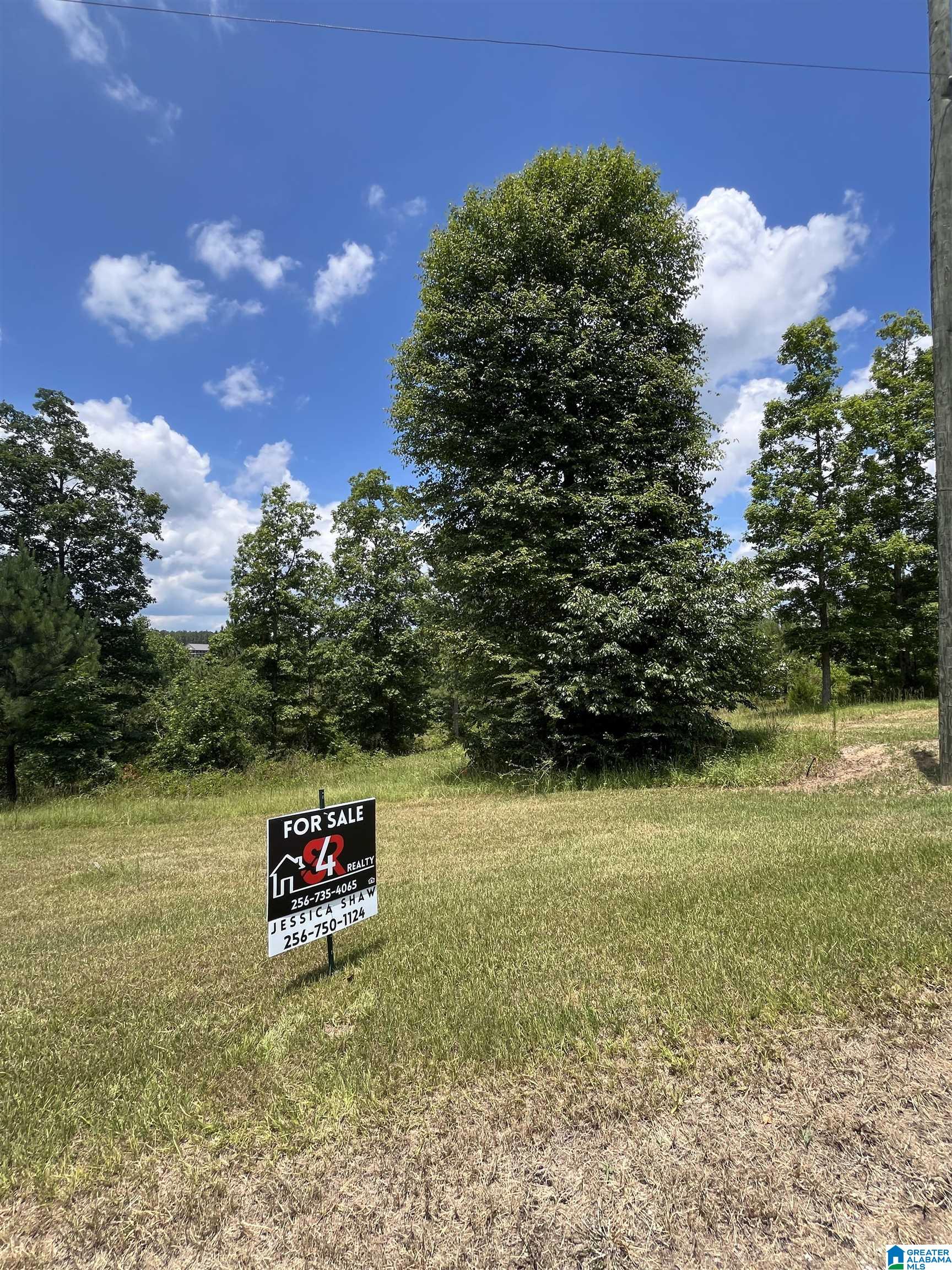 80 Longview Circle, Unit 28 Double Springs, AL 35553 - Photo 5 of 5