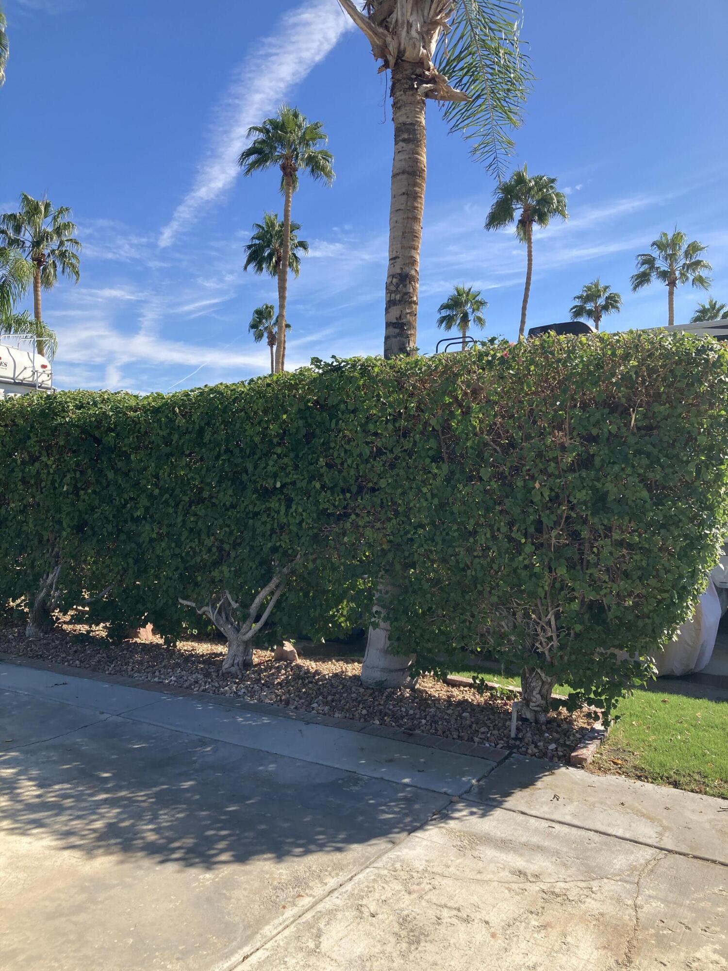 69411 Ramon Road, Unit 418 Cathedral City, CA 92234 - Photo 7 of 16 IMG_5089