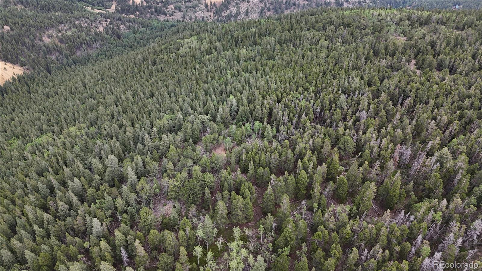 3747 South Spring Gulch Road Idaho Springs, CO 80452 - Photo 16 of 27 Gallery Image 16