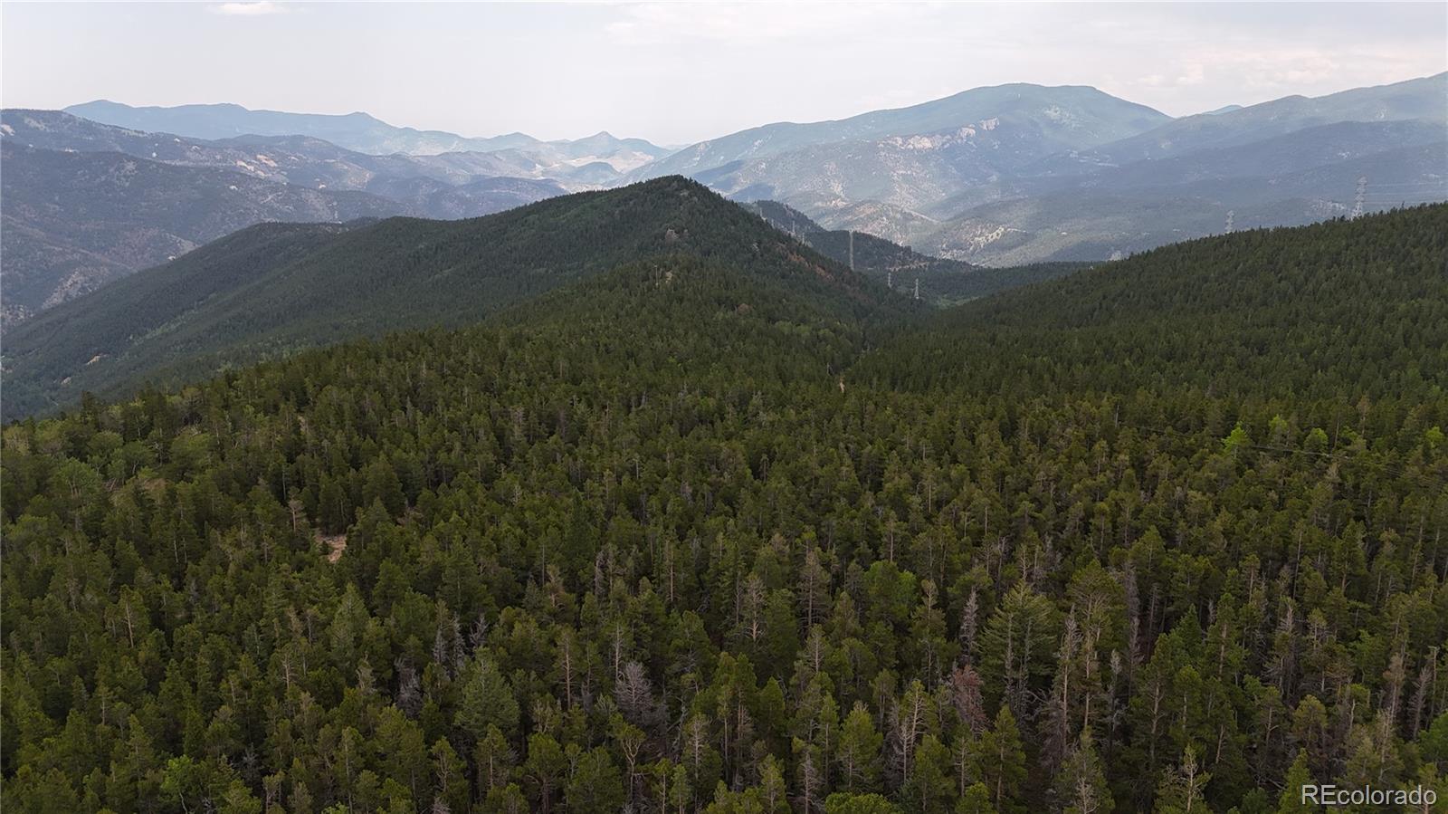 3747 South Spring Gulch Road Idaho Springs, CO 80452 - Photo 19 of 27 Gallery Image 19