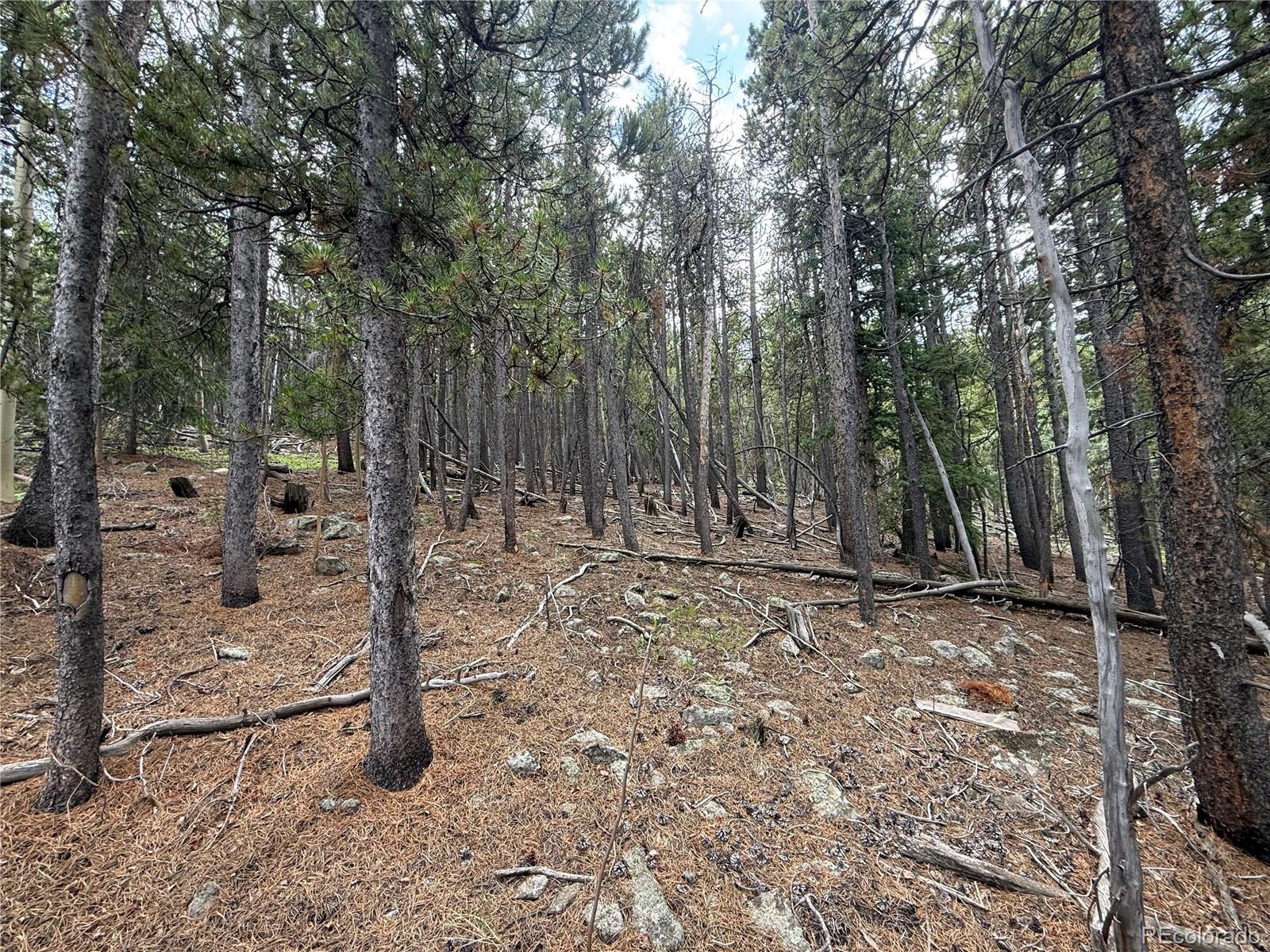 3747 South Spring Gulch Road Idaho Springs, CO 80452 - Photo 2 of 27 Gallery Image 2