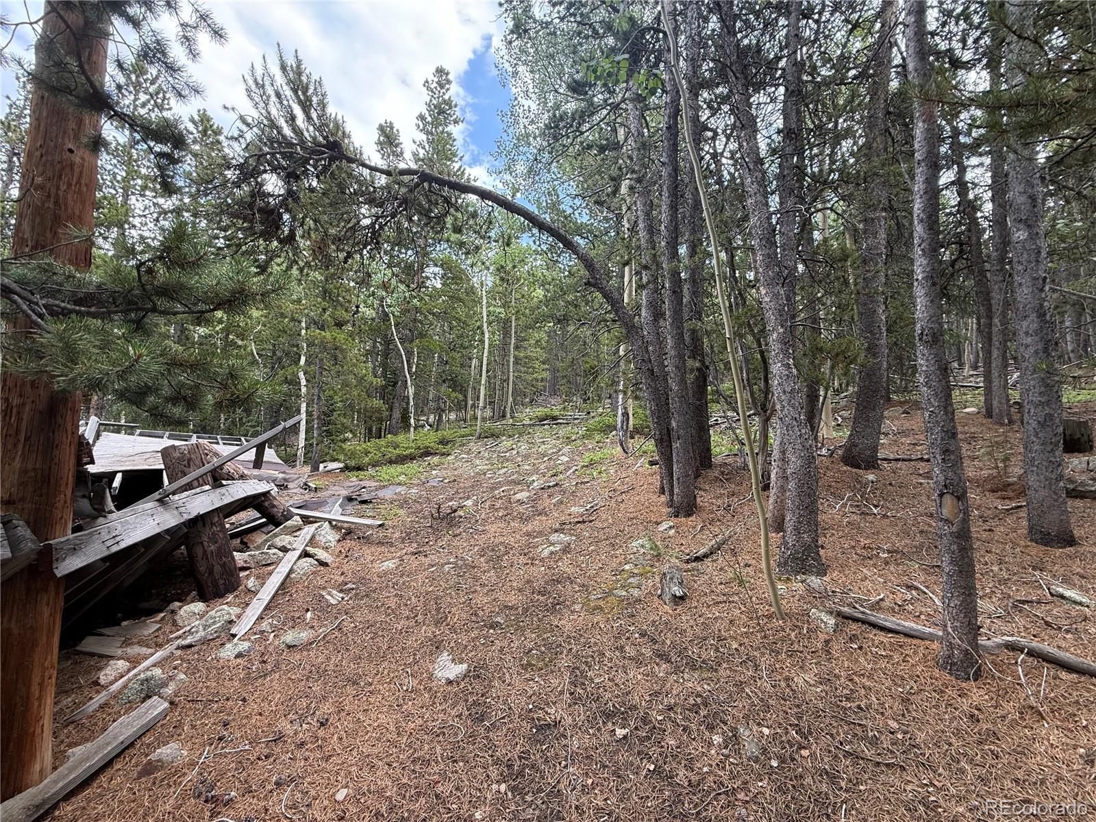 3747 South Spring Gulch Road Idaho Springs, CO 80452 - Photo 3 of 27 Gallery Image 3