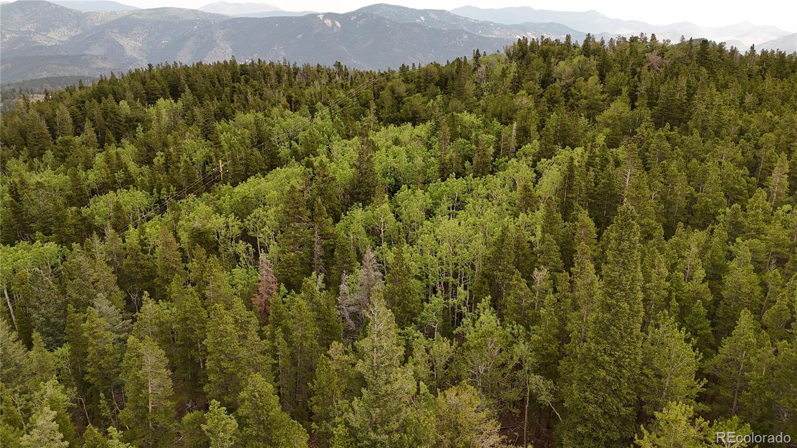 3747 South Spring Gulch Road Idaho Springs, CO 80452 - Photo 5 of 27 Gallery Image 5