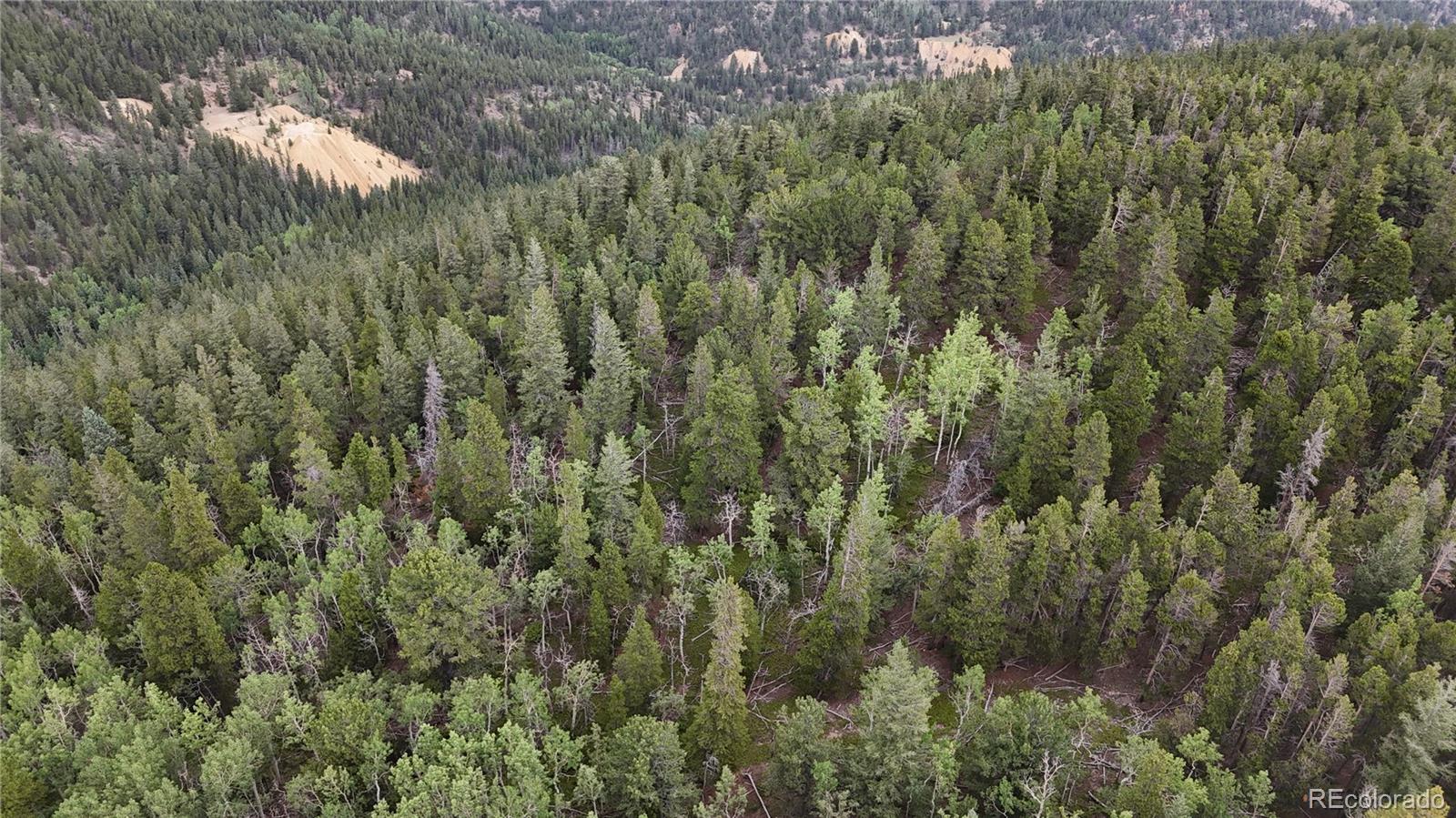 3747 South Spring Gulch Road Idaho Springs, CO 80452 - Photo 10 of 27 Gallery Image 10