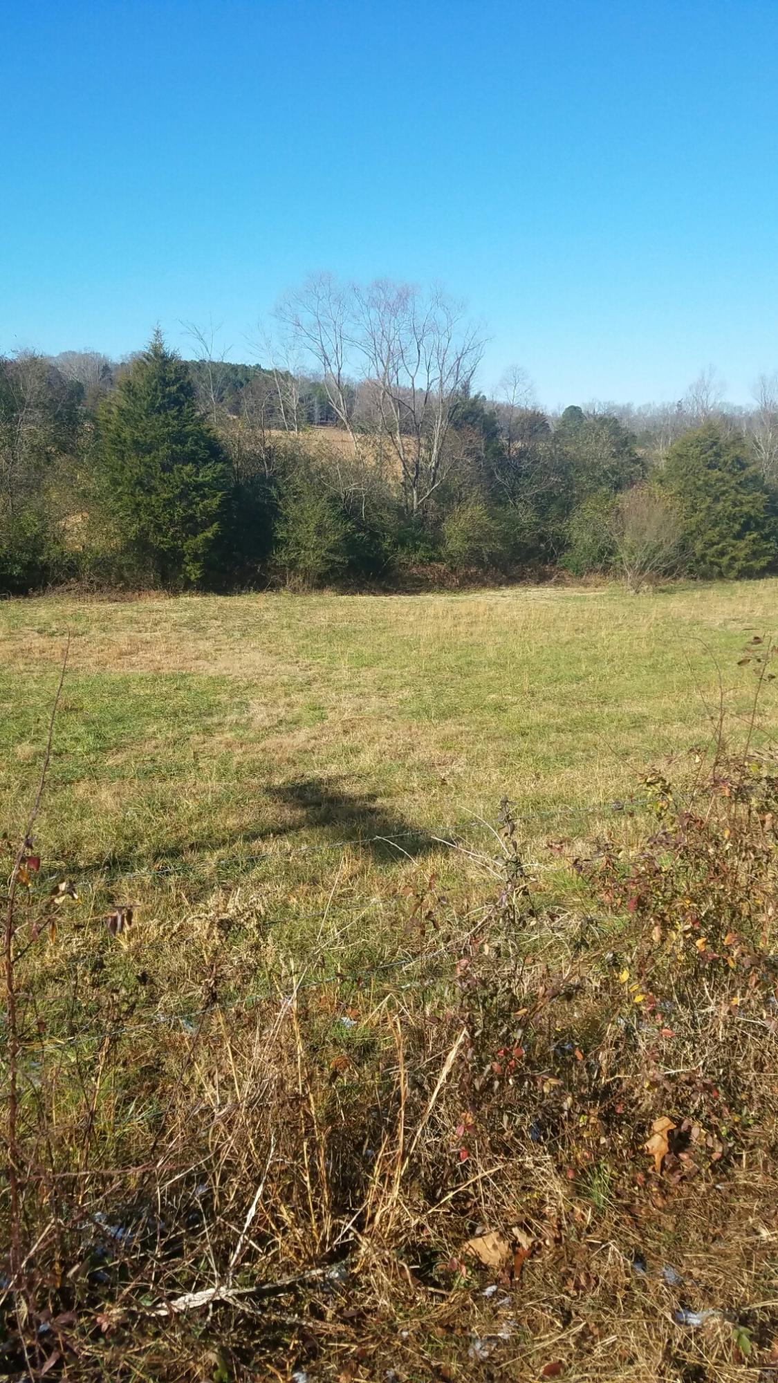 0 Northwest No Pone Road Charleston, TN 37310 - Photo 2 of 7 1