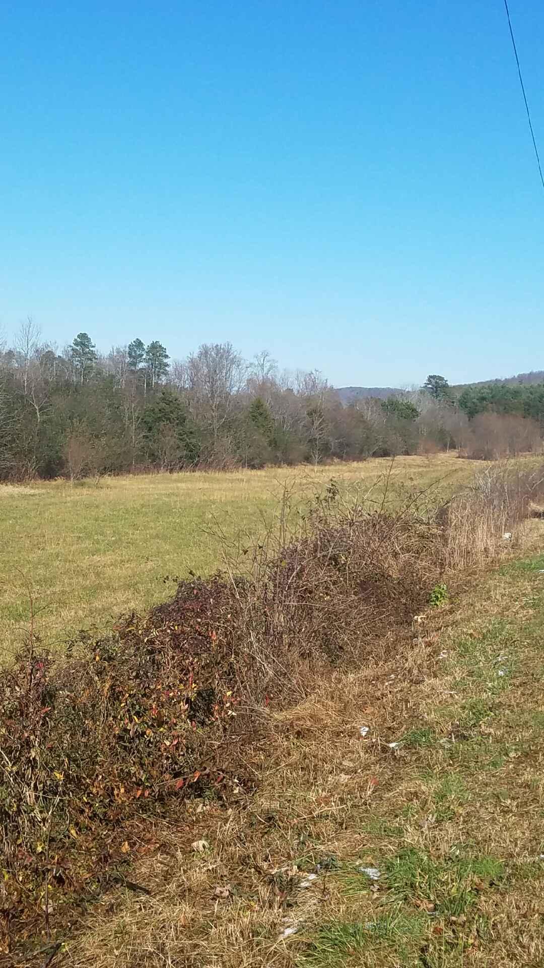 0 Northwest No Pone Road Charleston, TN 37310 - Photo 3 of 7 3