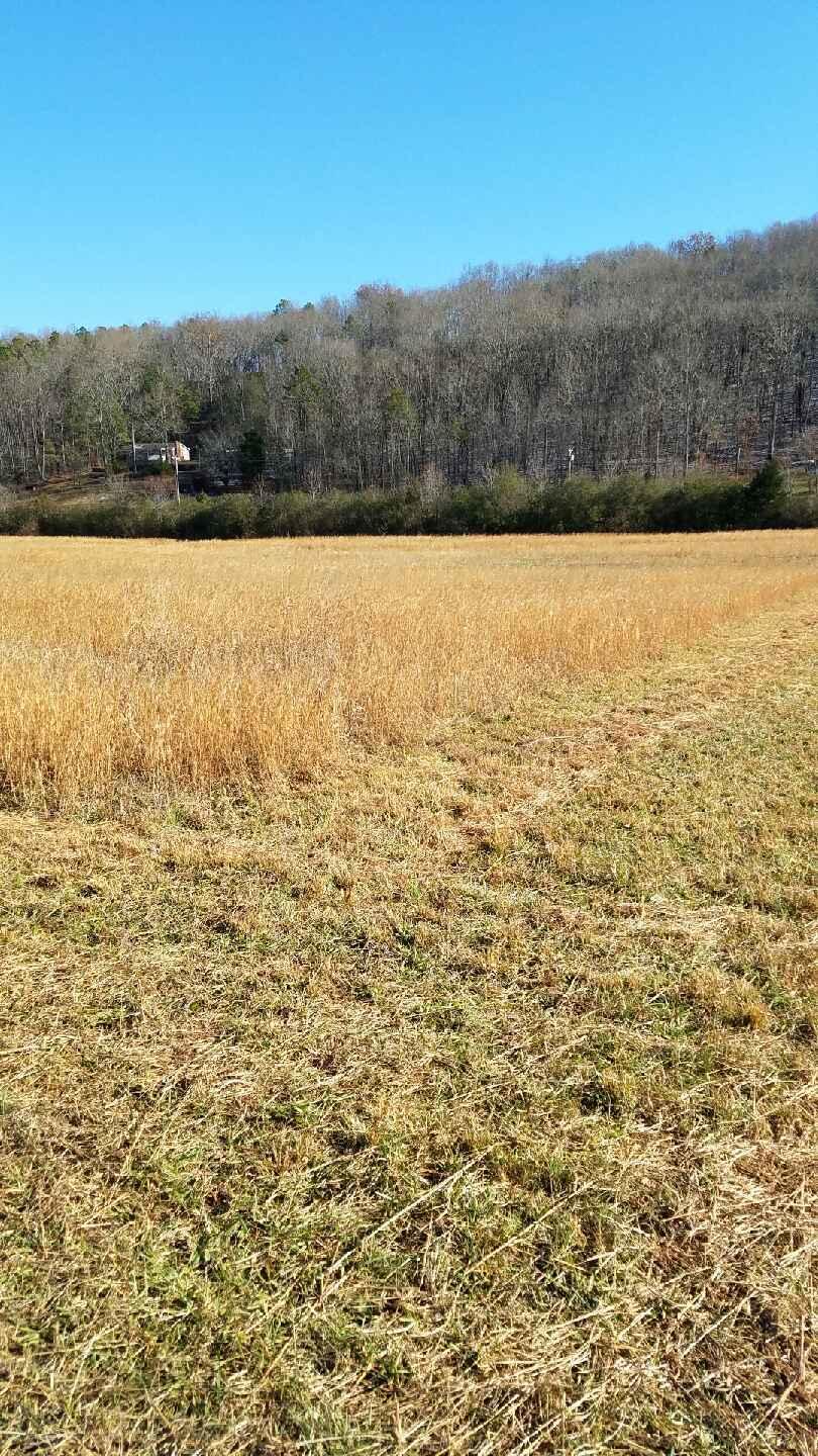 0 Northwest No Pone Road Charleston, TN 37310 - Photo 6 of 7 7