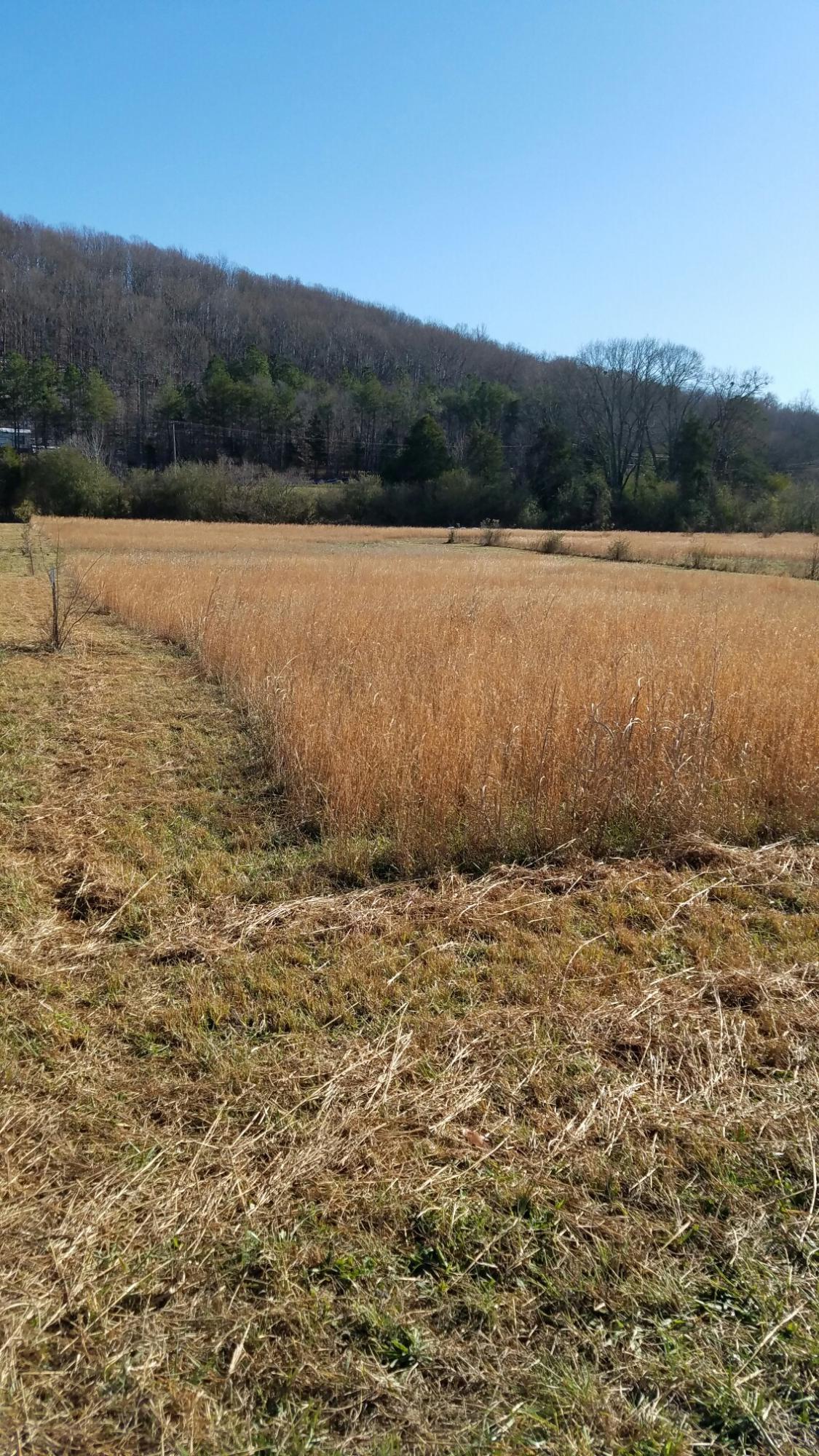 0 Northwest No Pone Road Charleston, TN 37310 - Photo 7 of 7 8
