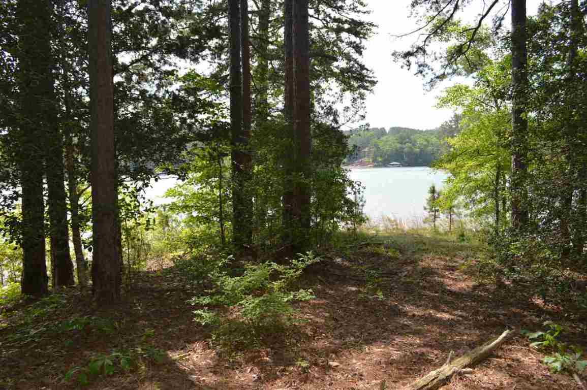 Lot 16 Talons Point Road Seneca, SC 29672 - Photo 35 of 36 Gallery Image 35