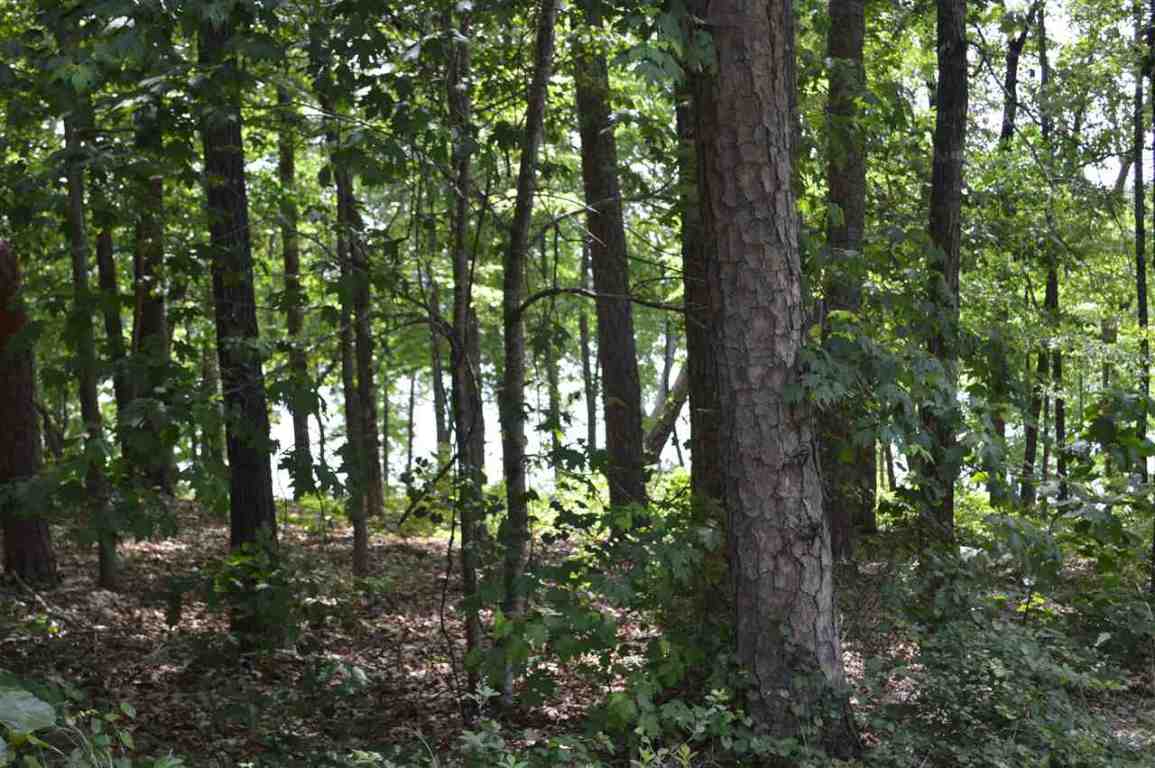 Lot 16 Talons Point Road Seneca, SC 29672 - Photo 6 of 36 Gallery Image 6