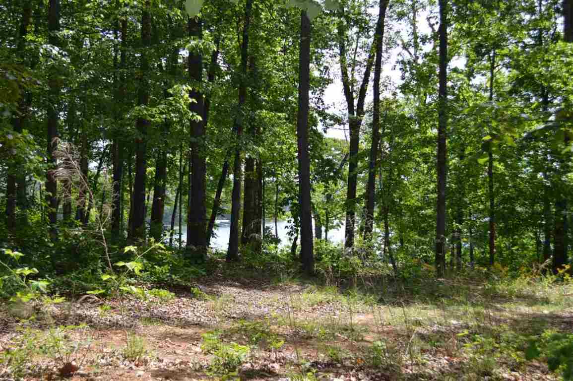 Lot 16 Talons Point Road Seneca, SC 29672 - Photo 8 of 36 Gallery Image 8