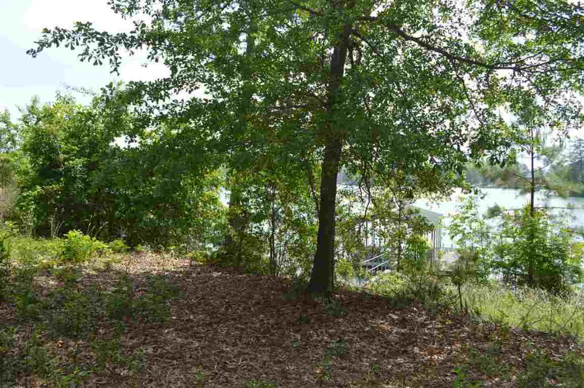 Lot 16 Talons Point Road Seneca, SC 29672 - Photo 9 of 36 Gallery Image 9