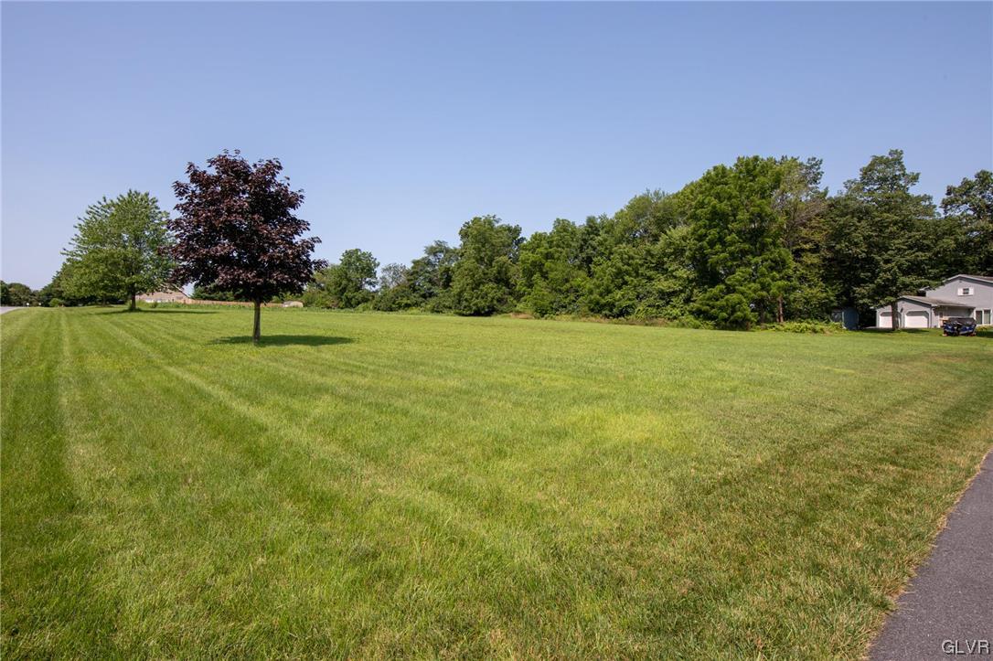 2152 Terry Road Nazareth, PA 18064 - Photo 10 of 42 a view of yard with tree and a bench