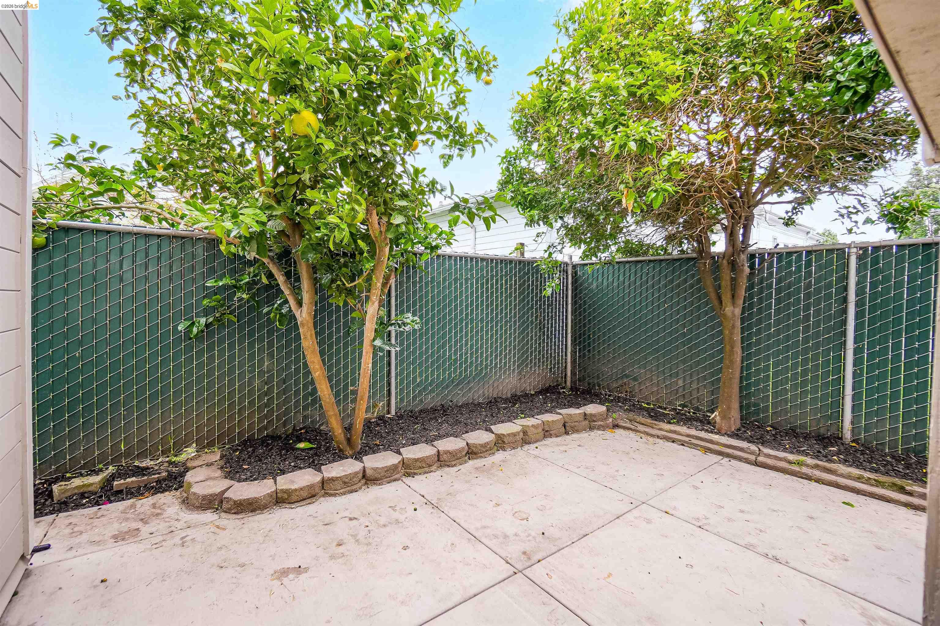 1812 Woolsey Street Berkeley, CA 94703 - Photo 29 of 48 Paved patio area featuring two mature citrus trees, decorative stone edging, and a privacy fence