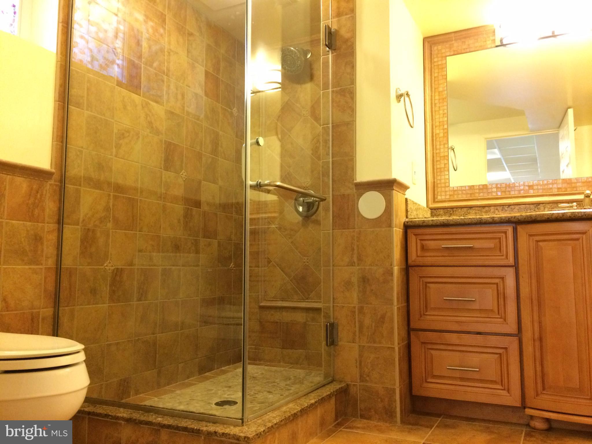 9014 3rd Avenue Silver Spring, MD 20910 - Photo 22 of 25 Luxury Full Bath