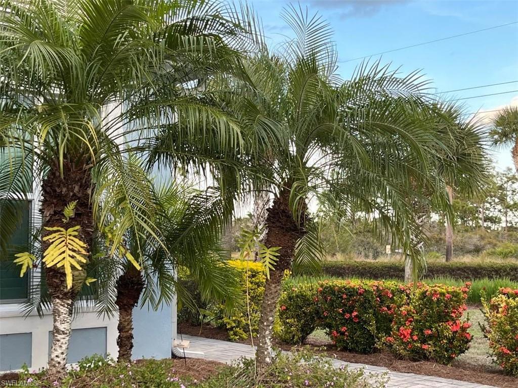 6907 Cay Court Naples, FL 34113 - Photo 2 of 15 a view of a flower in a garden