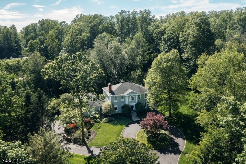 77 Pleasantville Road New Vernon, NJ 07976 - Photo 2 of 49