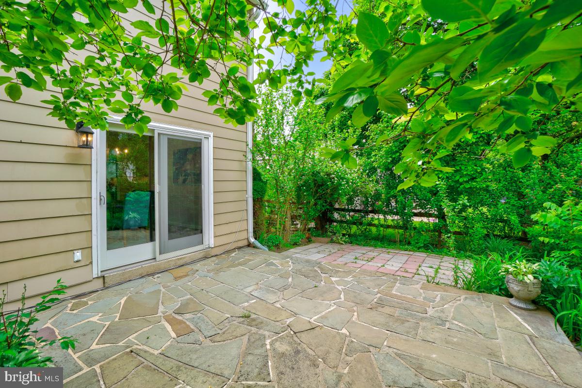 1816 Bart Drive Silver Spring, MD 20905 - Photo 29 of 38 a view of a back yard with plants and large trees