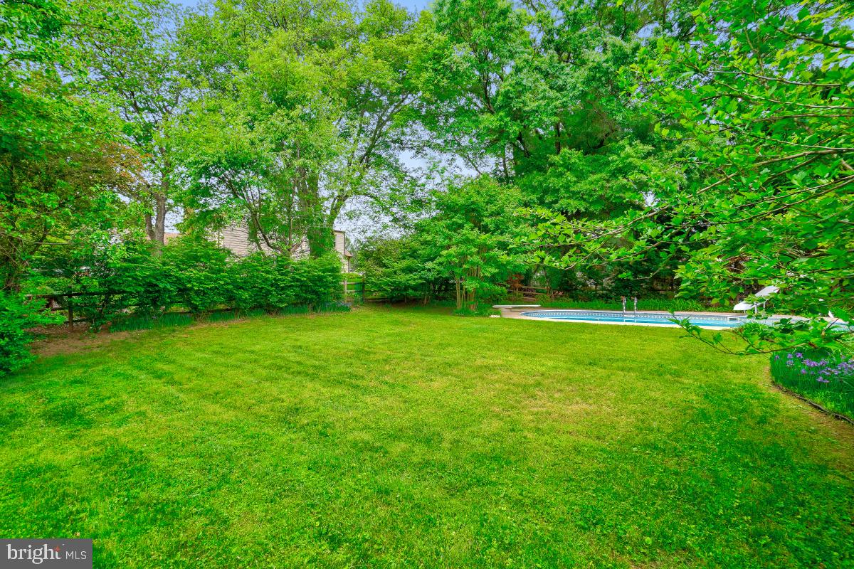 1816 Bart Drive Silver Spring, MD 20905 - Photo 35 of 38 a view of a green field with a trees