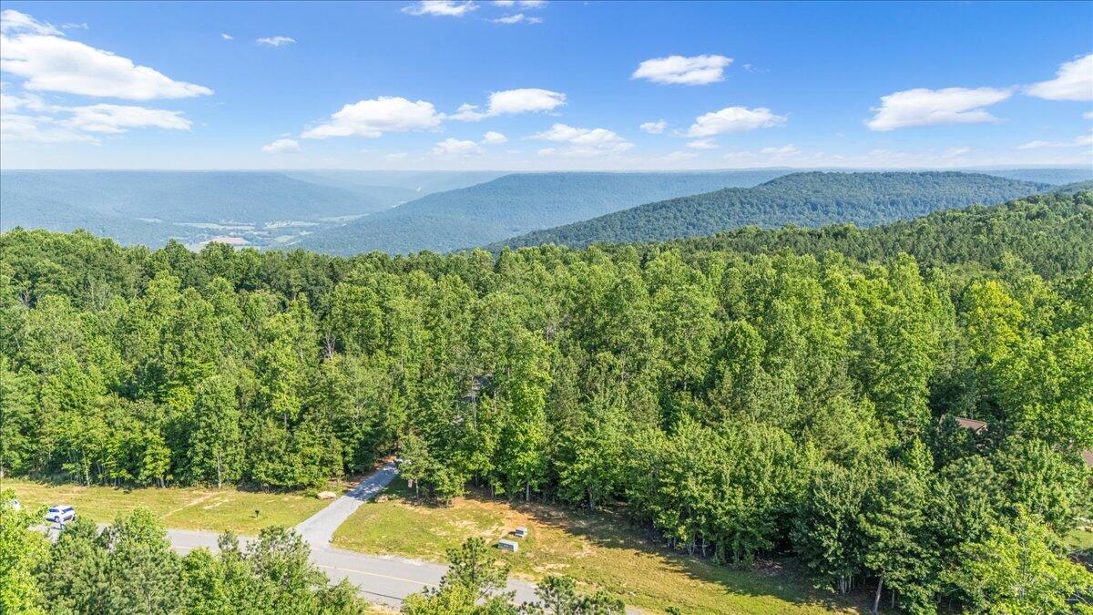 700 Cherokee Path, Unit JF275 Jasper, TN 37347 - Photo 9 of 15 02-DJI_20250624085457_0013_D