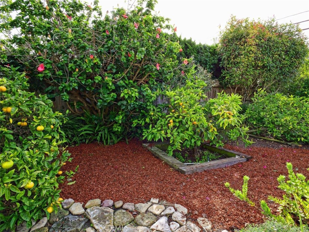 2525 Vía Amador Palos Verdes Estates, CA 90274 - Photo 25 of 29 Citrus orchard