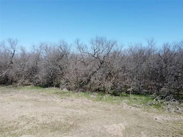 a view of a dry yard with wooden floor