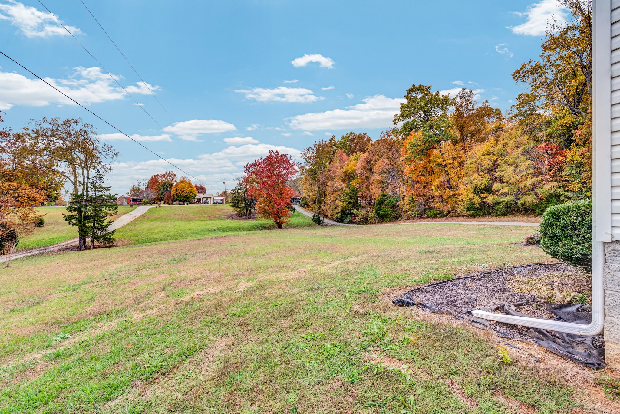 498 Bugger Ridge Road McMinnville, TN 37110 - Photo 5 of 22 a view of yard with ocean view