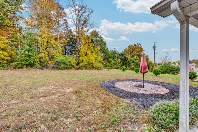 a tall tree in the middle of a yard