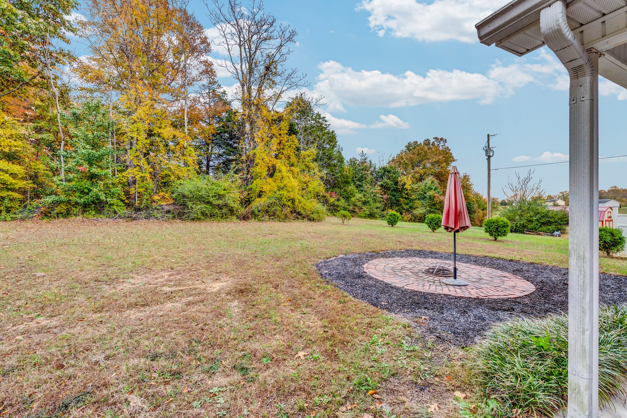 498 Bugger Ridge Road McMinnville, TN 37110 - Photo 8 of 22 a tall tree in the middle of a yard