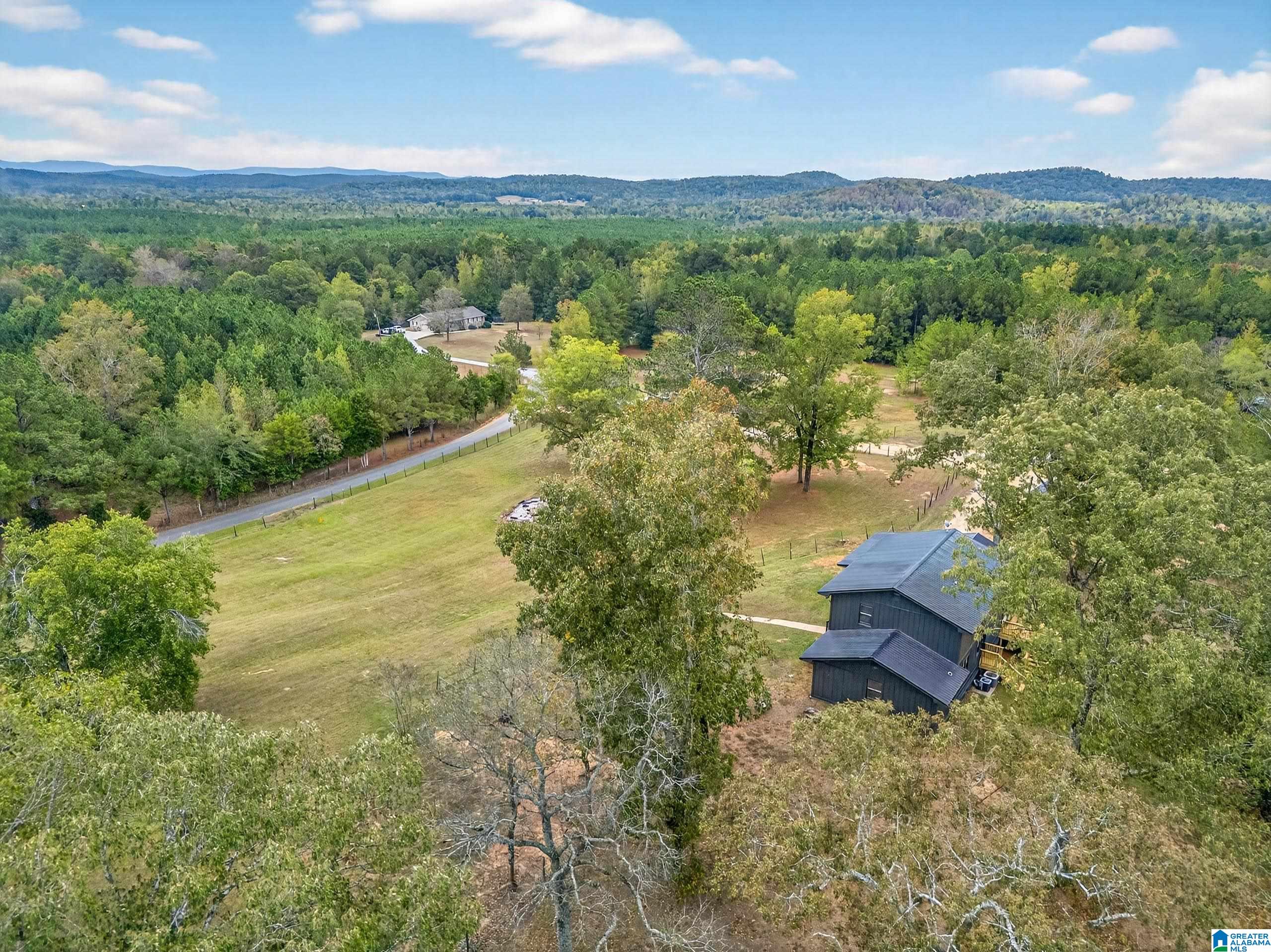 743 Dove Welch Road Wellington, AL 36279 - Photo 10 of 46