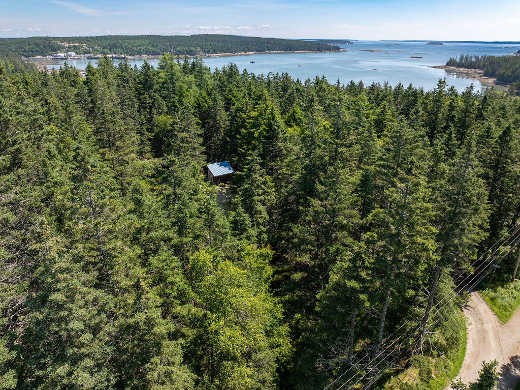 68 Tea Hill Road Stonington, ME 04681 - Photo 16 of 29 68 Tea Hill Land