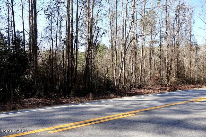130 Rd Fairmont Nc 28340 Road Rowland, NC 28383 - Photo 6 of 6 IMG_0074
