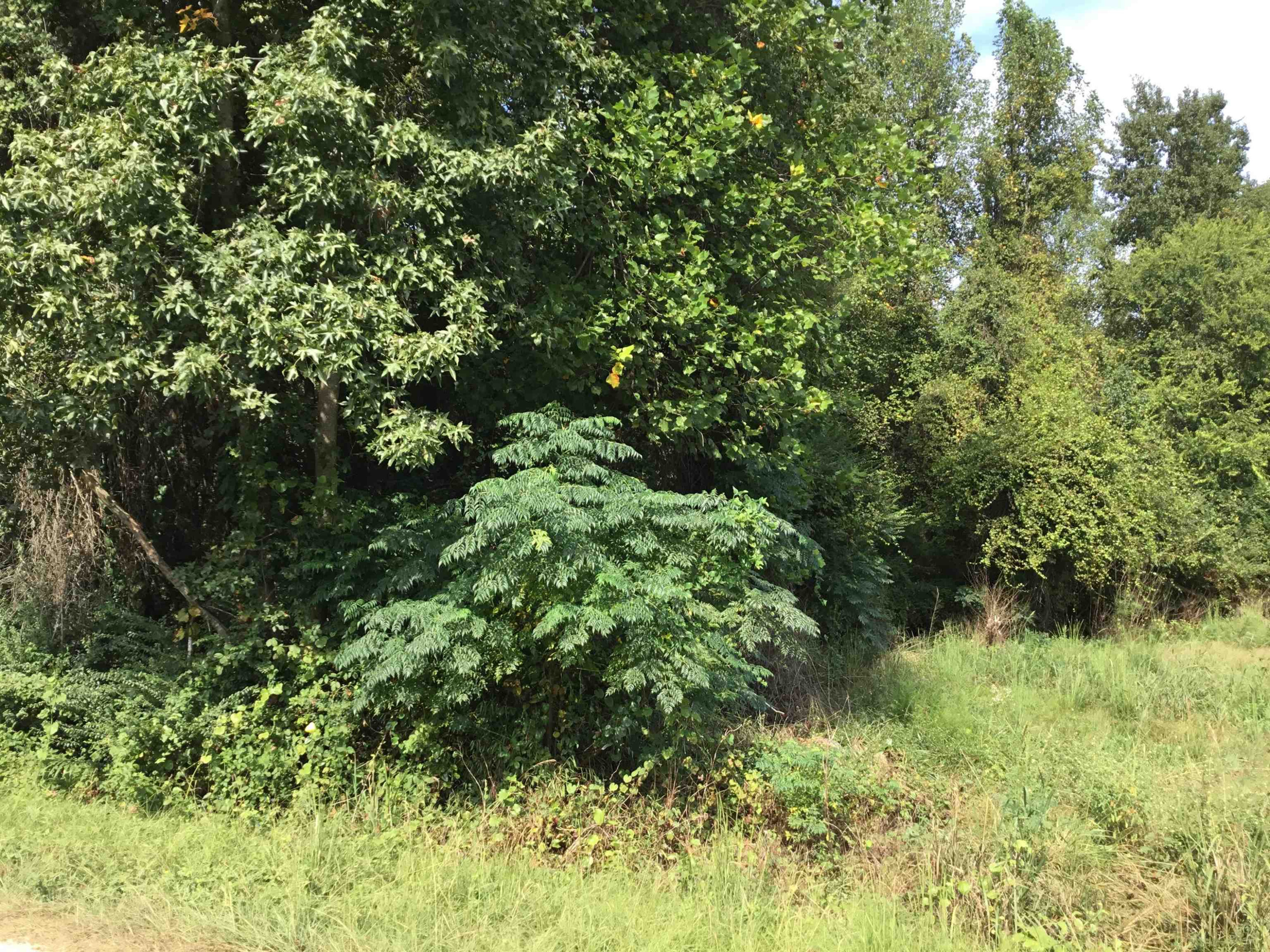 Pearidge Road Willow Spring, NC 27592 - Photo 5 of 5 Photo 5