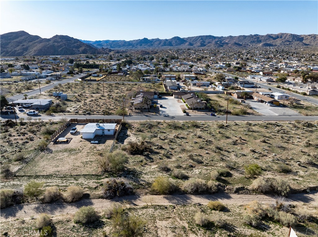 61954 Plaza Road Joshua Tree, CA 92252 - Photo 6 of 23 a view of a lot of trees and houses