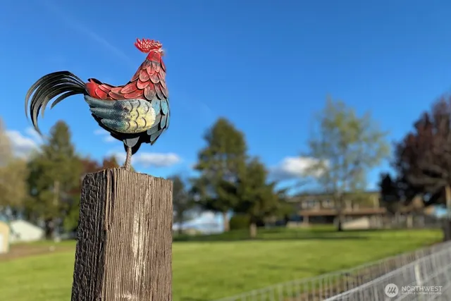 a view of a yard in front of the house