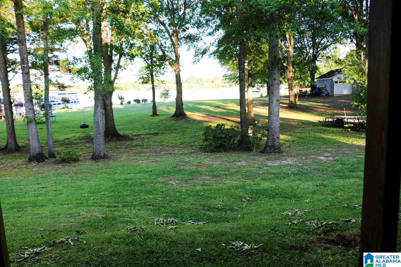203 Blue Spring Trail Cropwell, AL 35054 - Photo 43 of 50