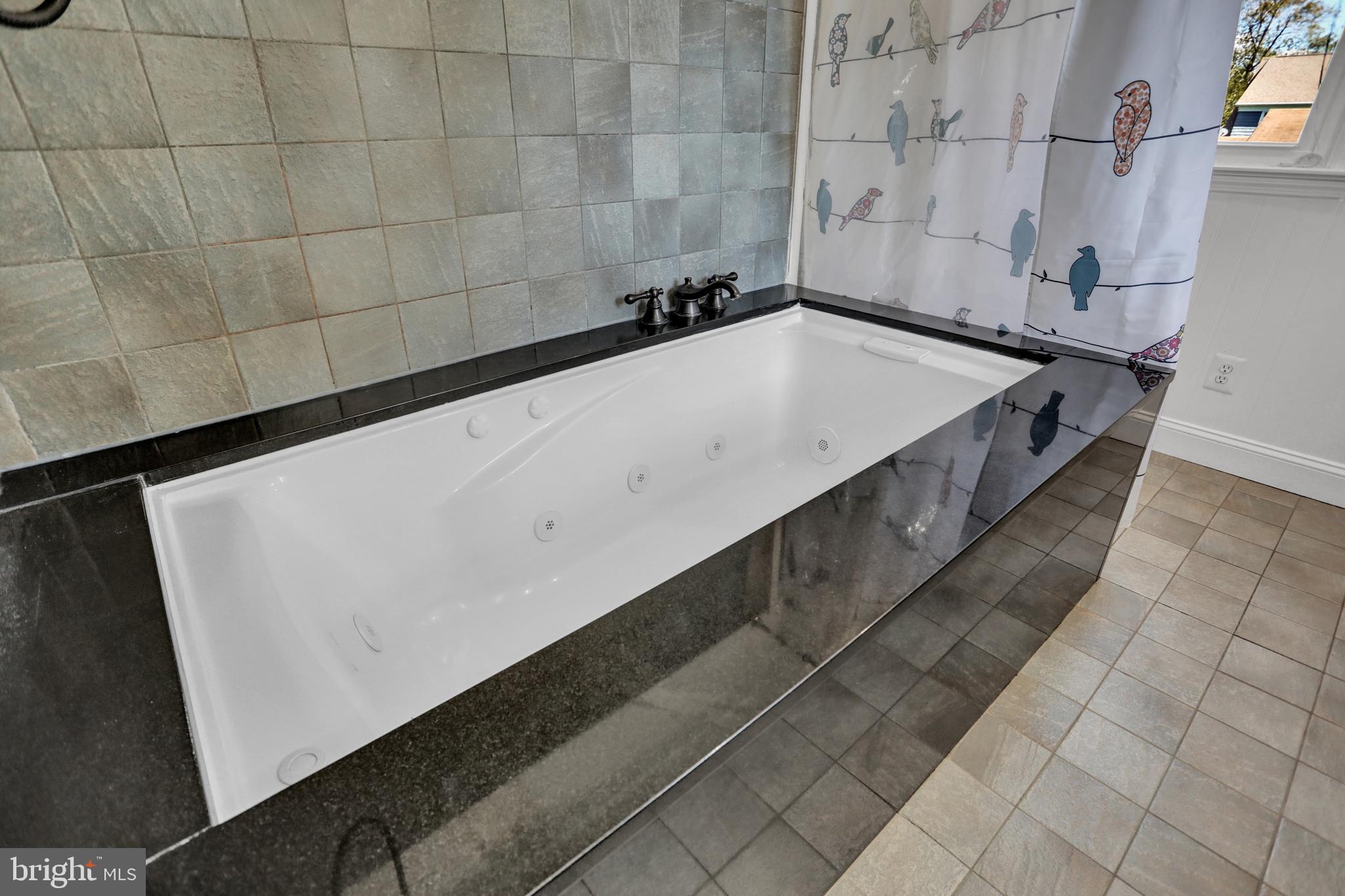 4017 East Baker Avenue Abingdon, MD 21009 - Photo 27 of 86 Primary Bathroom