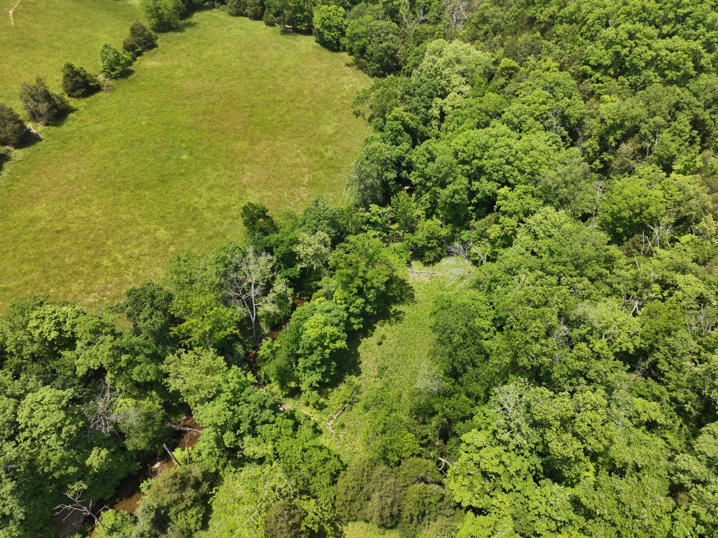 110 Wade Reed Road White Bluff, TN 37187 - Photo 26 of 80