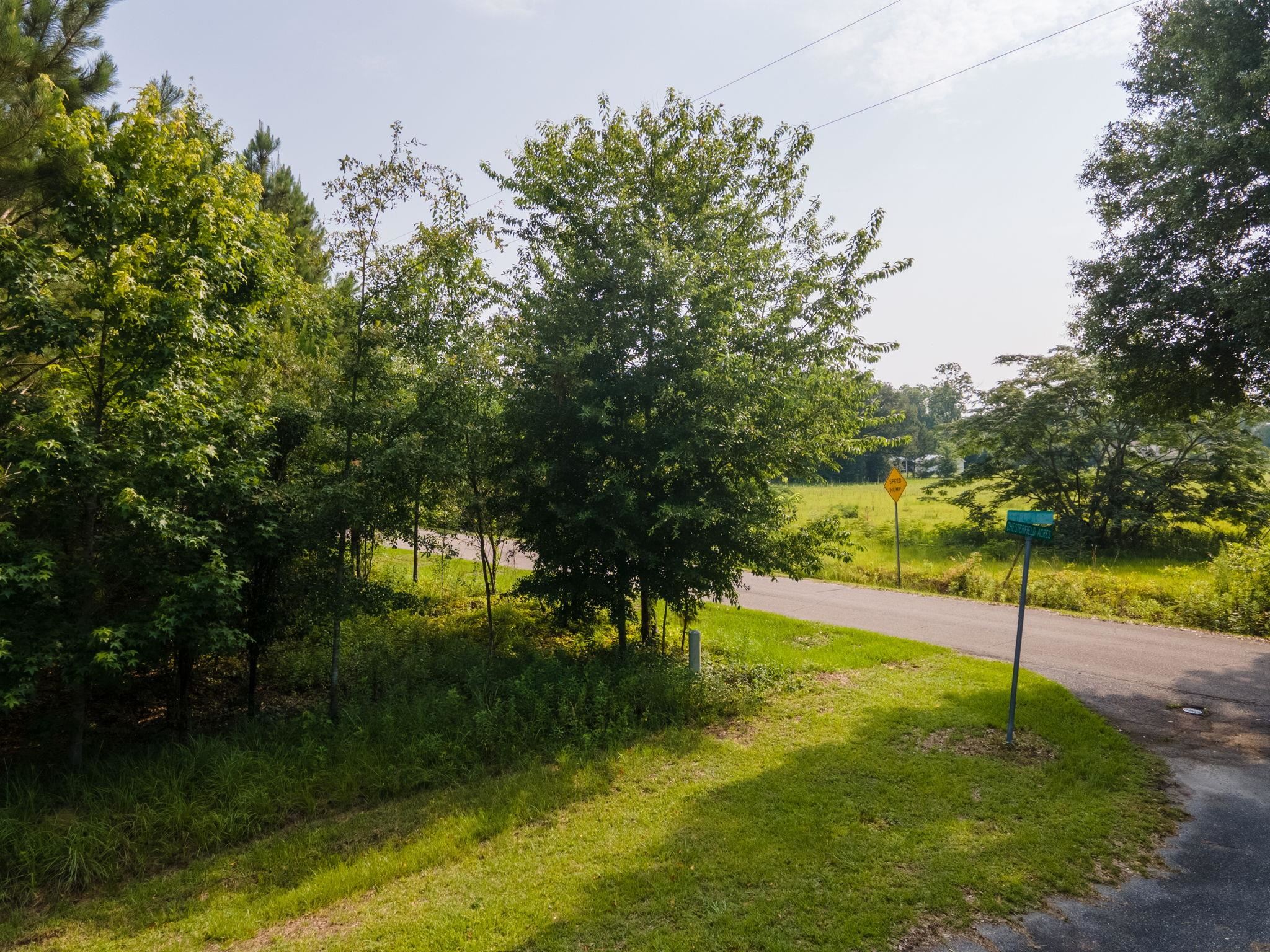 14 Chesterfield Road Quincy, FL 32351 - Photo 4 of 9