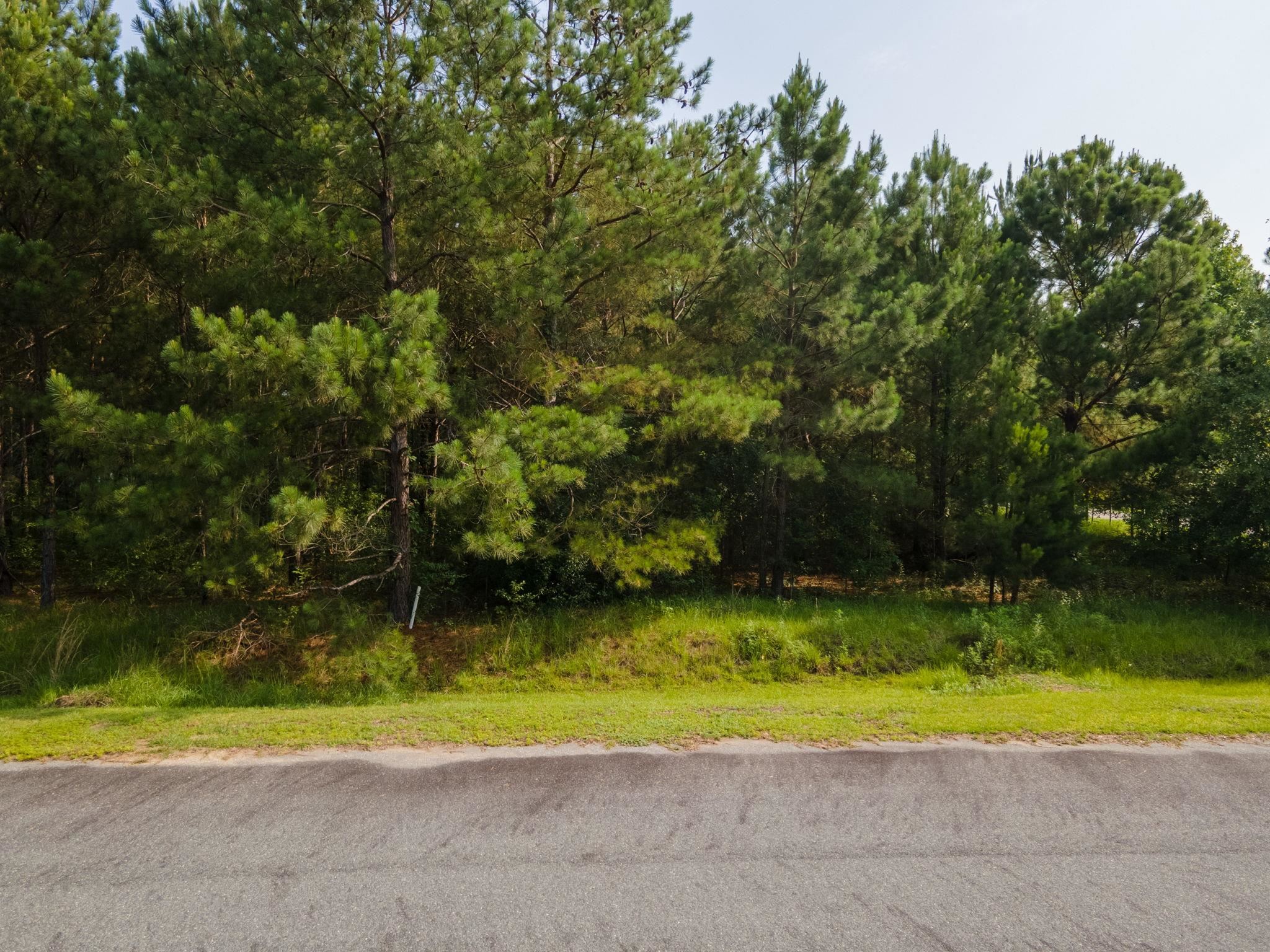 14 Chesterfield Road Quincy, FL 32351 - Photo 5 of 9