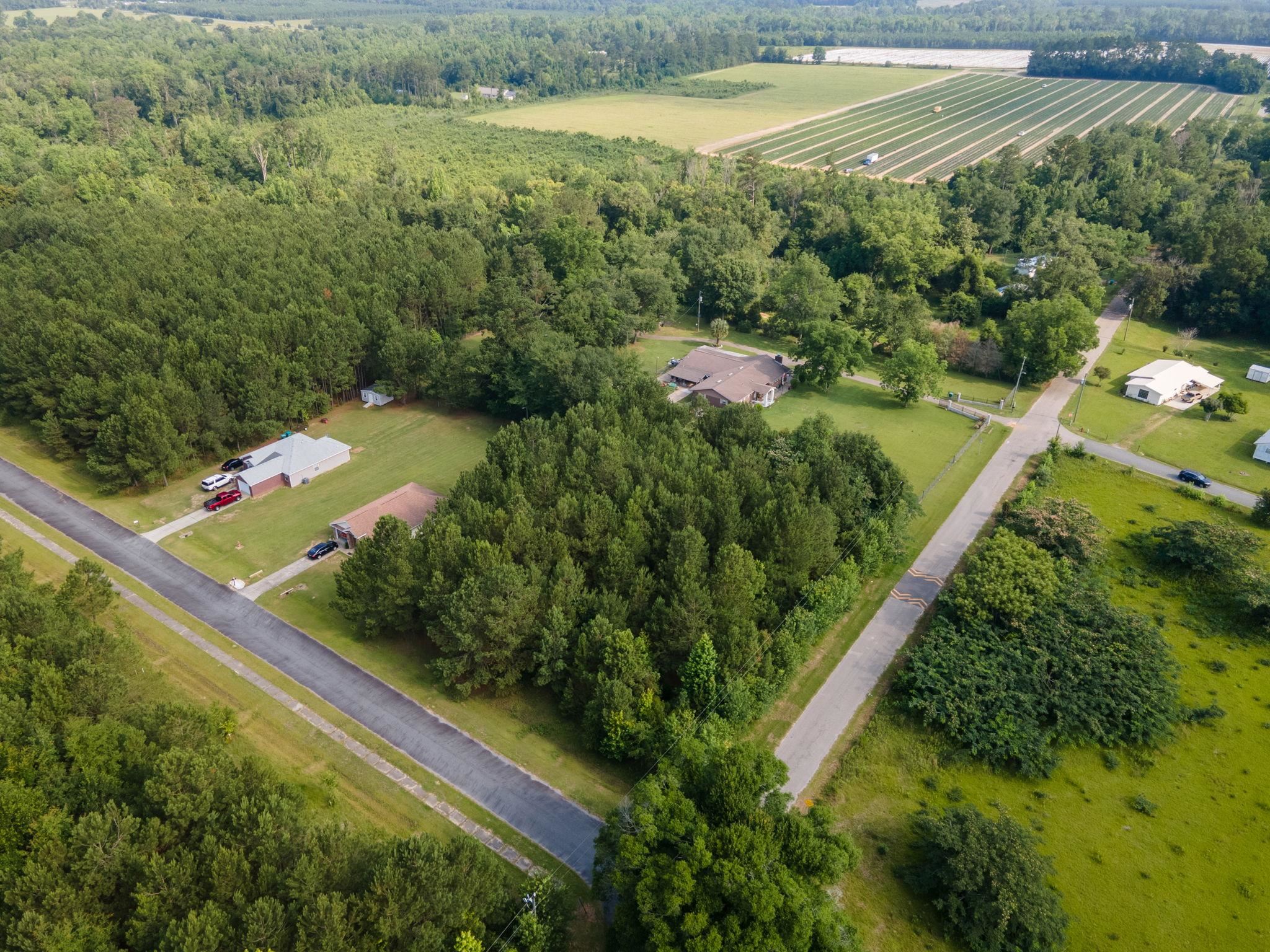 14 Chesterfield Road Quincy, FL 32351 - Photo 9 of 9