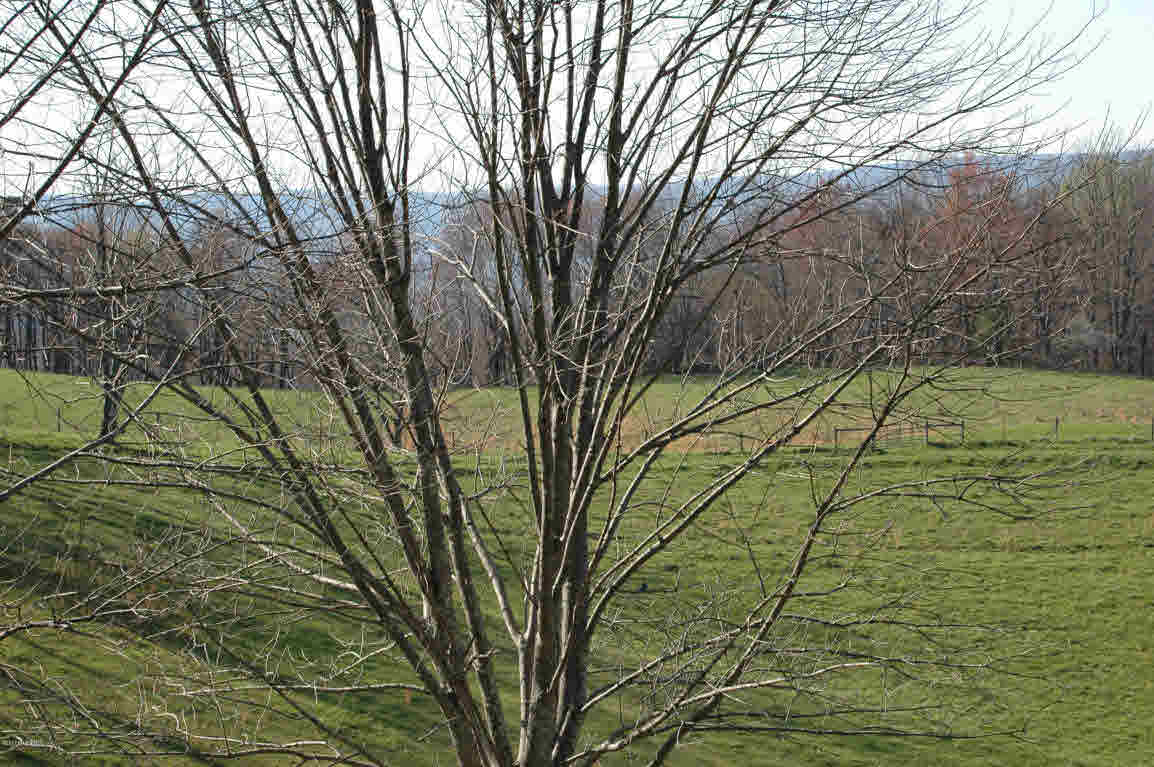 Lot J Springdale Road Pearisburg, VA 24134 - Photo 36 of 51 Gallery Image 36