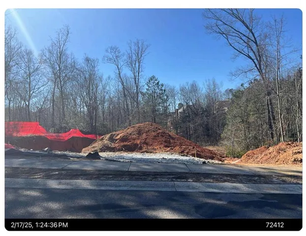 a view of a park with large trees