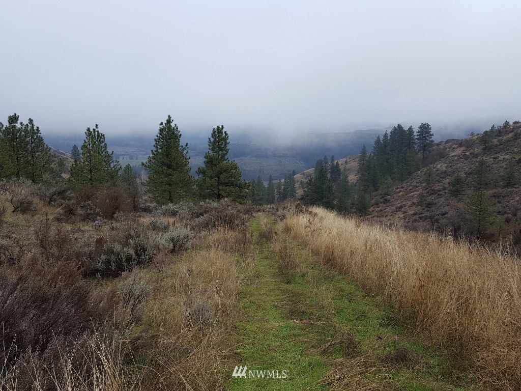 0 Pine Tree Lane North Creston, WA 99117 - Photo 1 of 13 Gallery Image 1