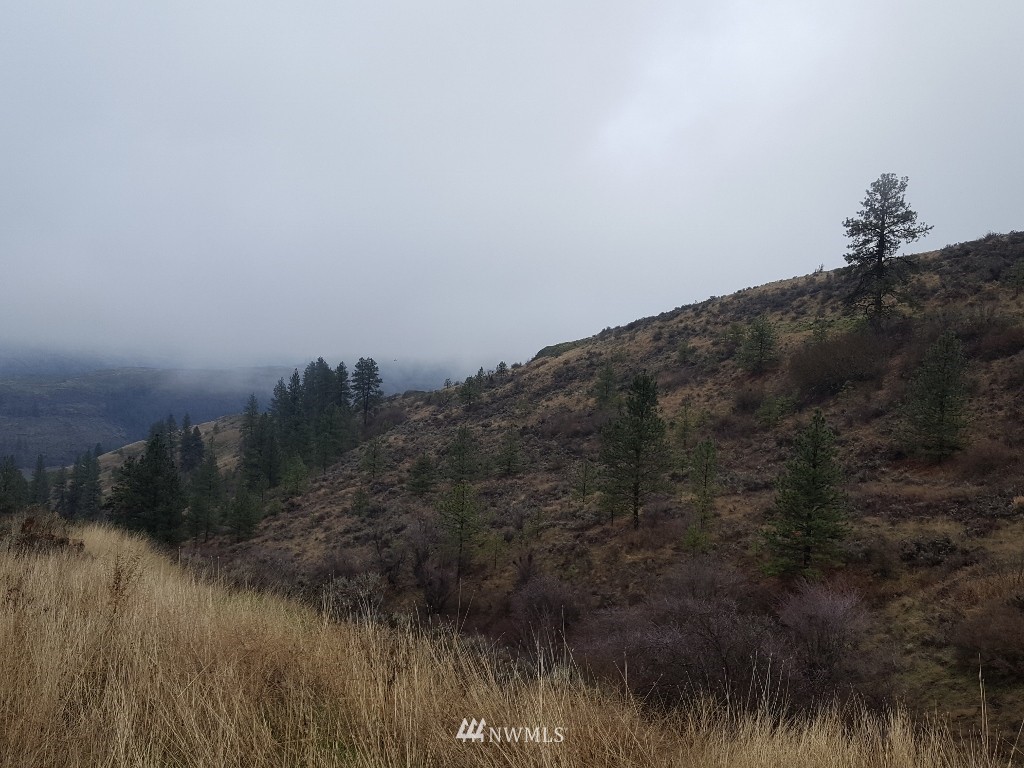 0 Pine Tree Lane North Creston, WA 99117 - Photo 11 of 13 Gallery Image 11