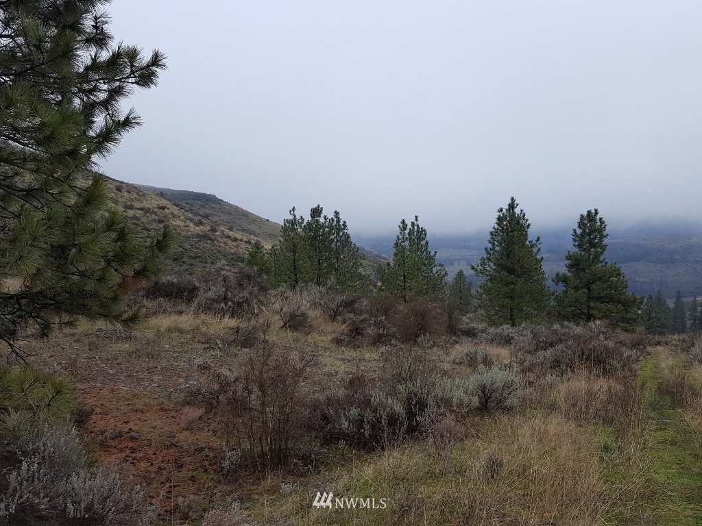 0 Pine Tree Lane North Creston, WA 99117 - Photo 3 of 13 Gallery Image 3