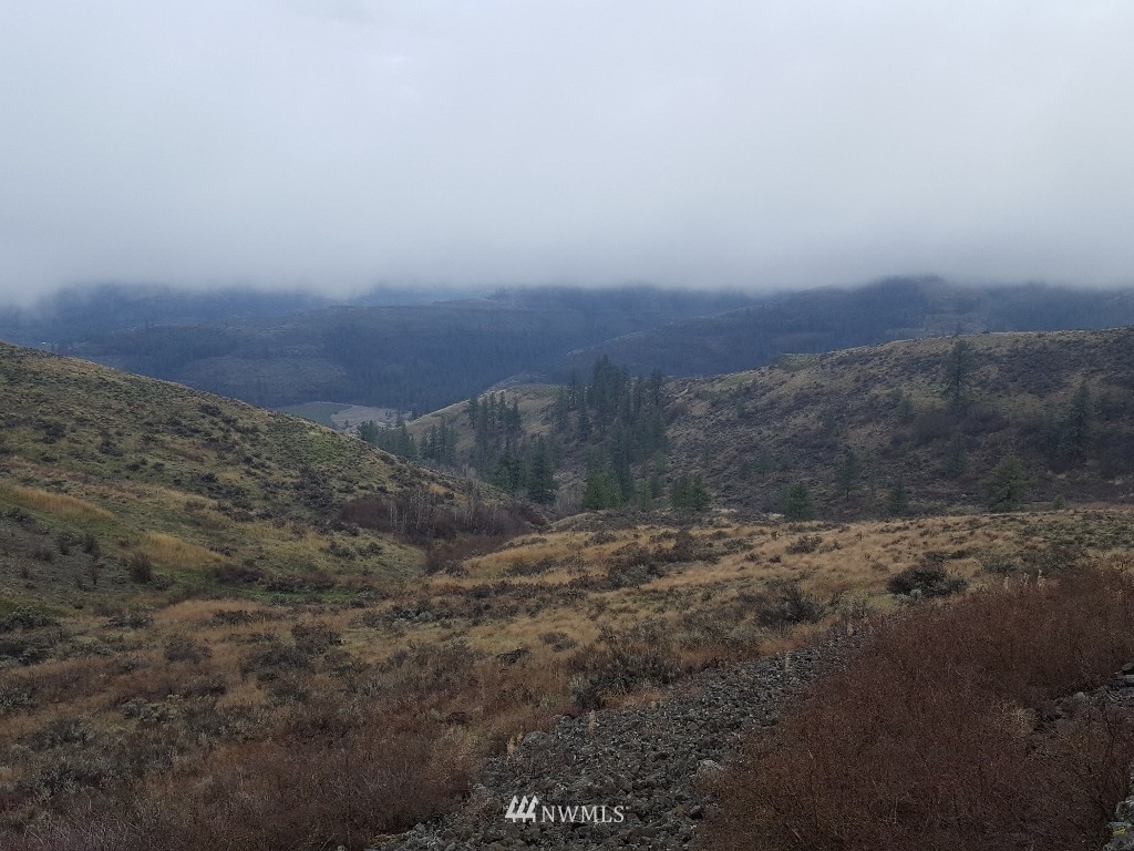 0 Pine Tree Lane North Creston, WA 99117 - Photo 4 of 13 Gallery Image 4